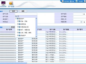 资产管理系统网络标准版-基础模块