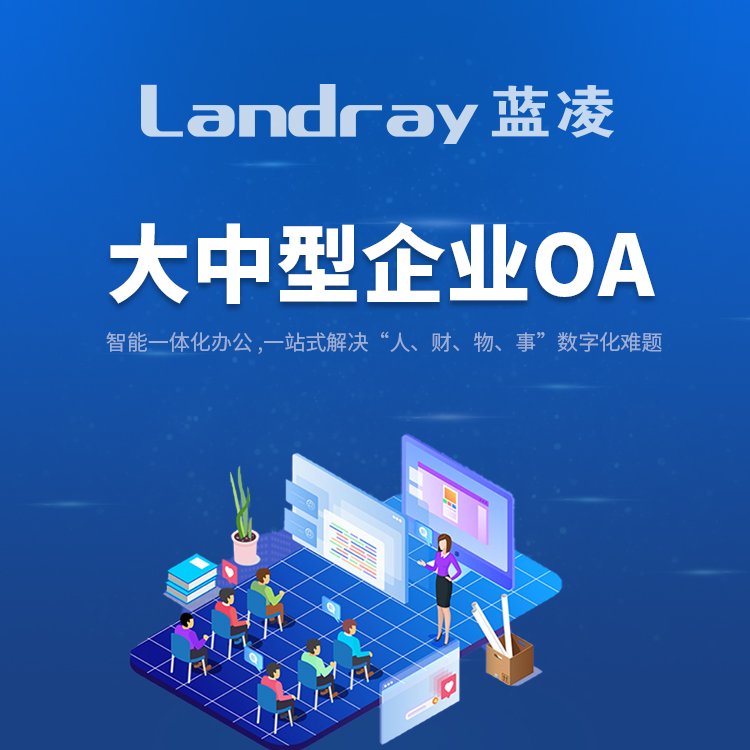 蓝凌OA系统