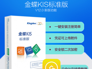 标准版V12.0